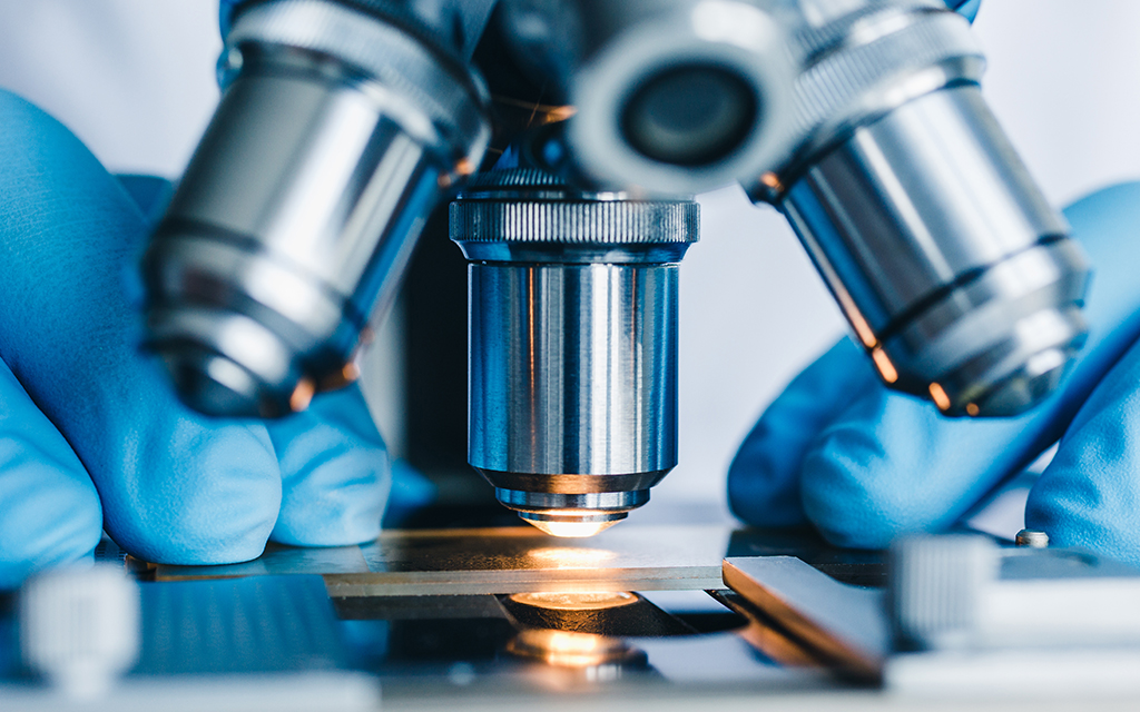 Esempi investigativi